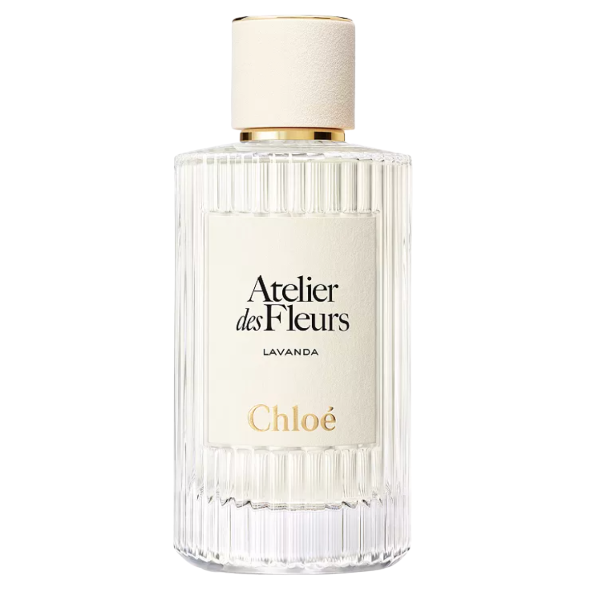 Chloe - Atelier des Fleurs - Lavanda