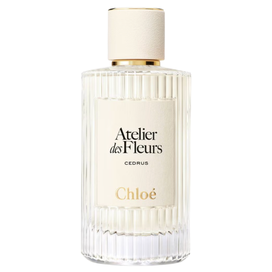 Chloe - Atelier des Fleurs - Cedrus